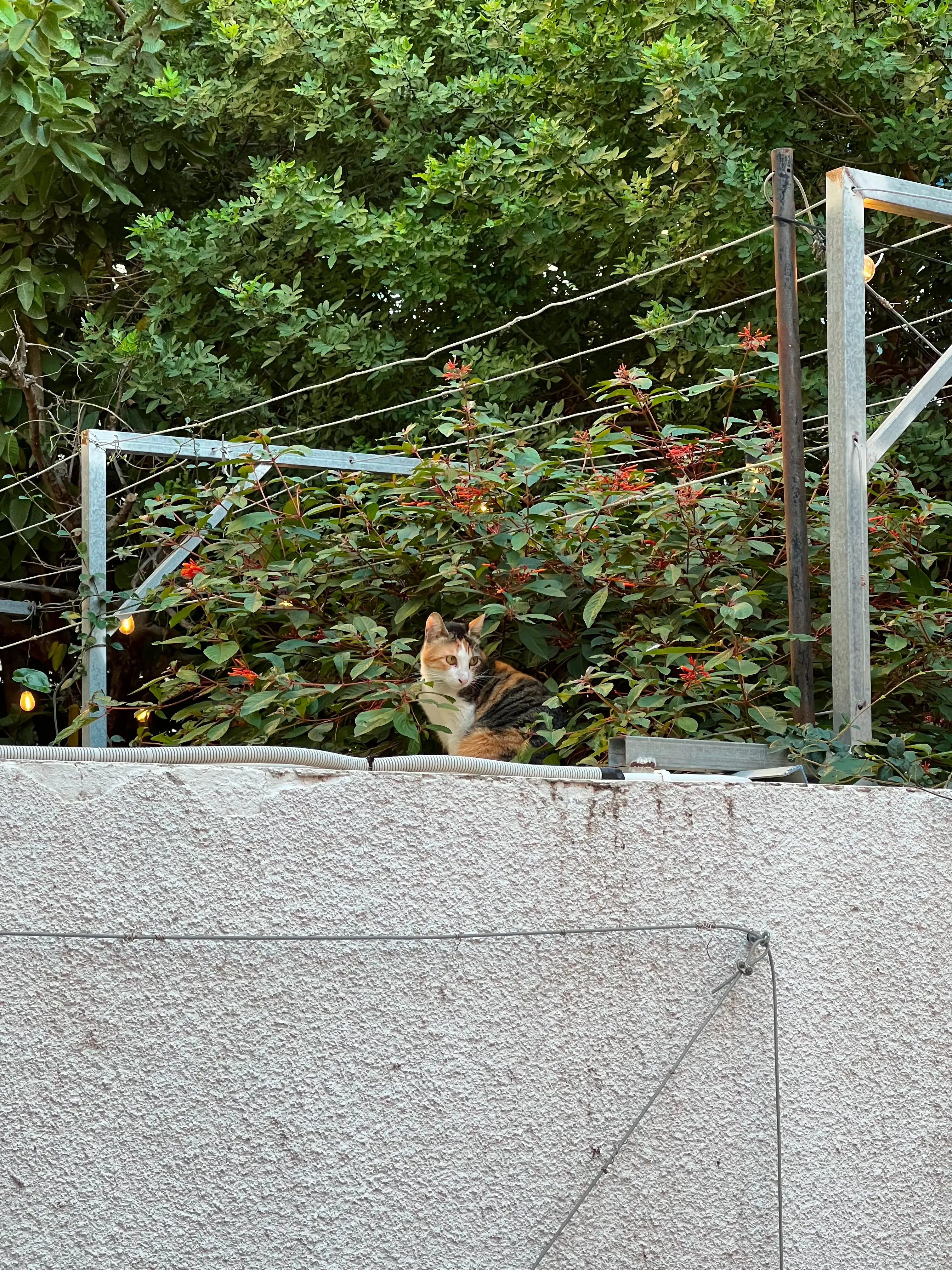 Fibery retreat in Larnaca, Cyprus / 2025