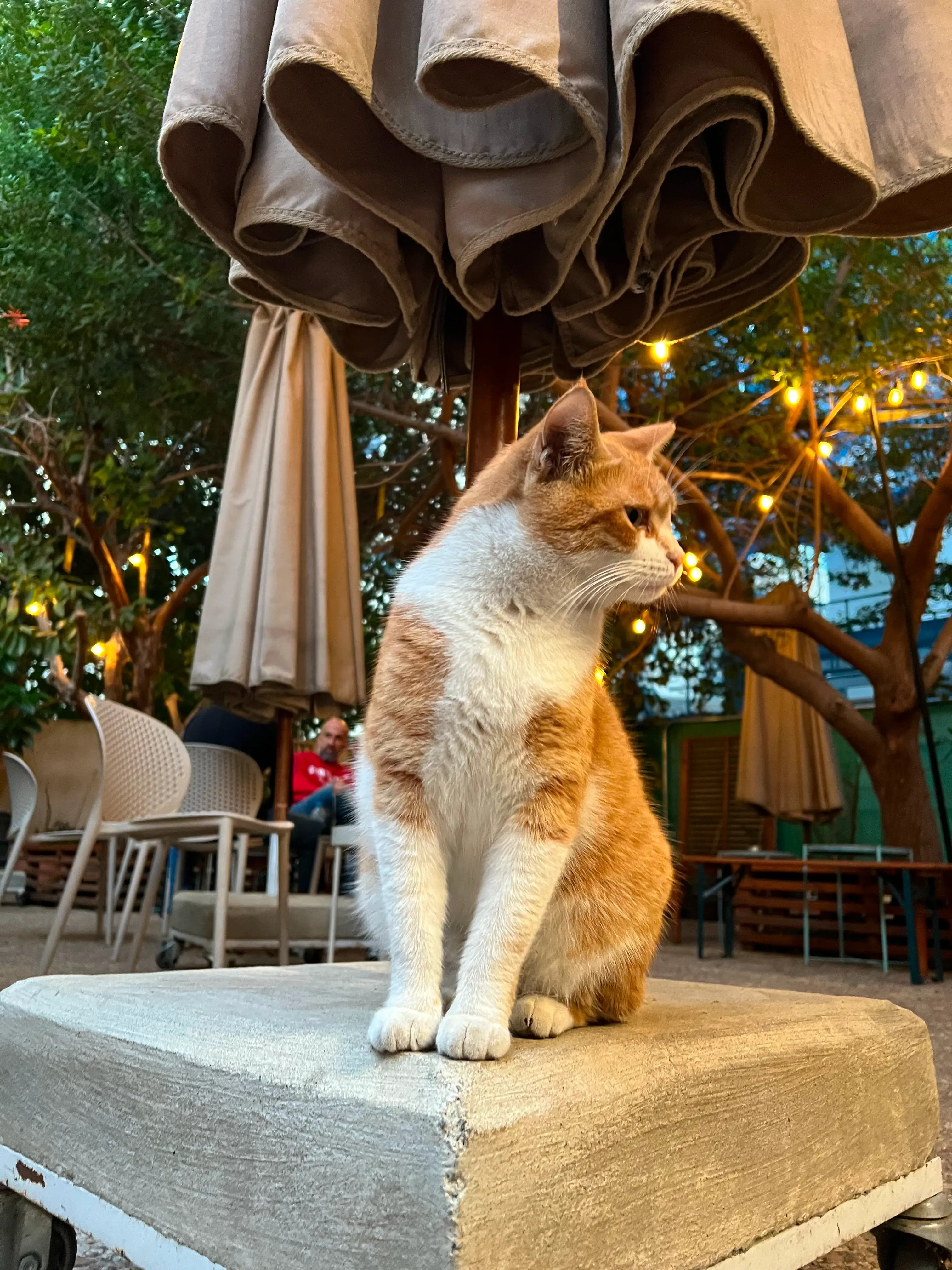 Fibery retreat in Larnaca, Cyprus / 2025