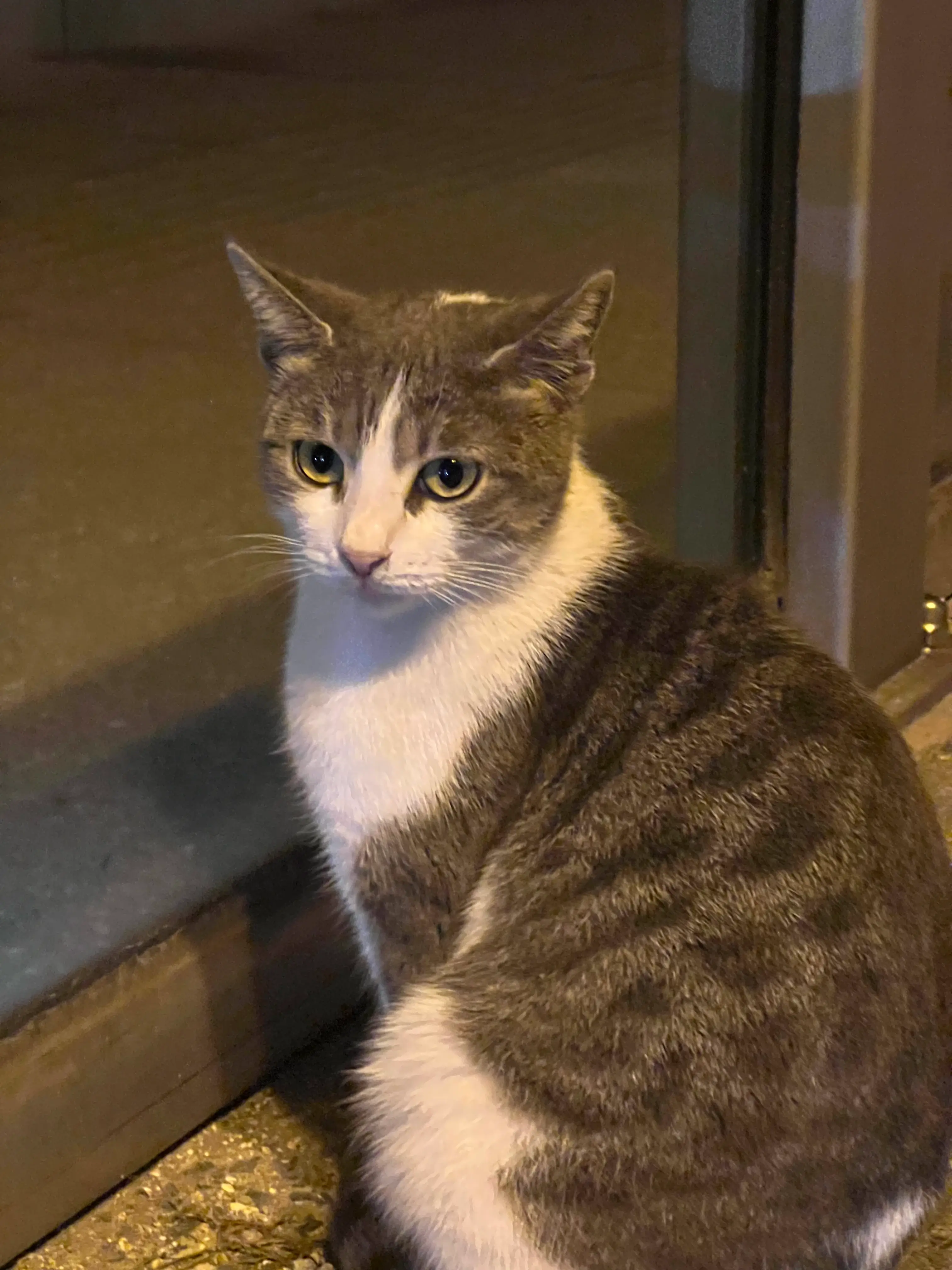 Fibery retreat in Larnaca, Cyprus / 2025