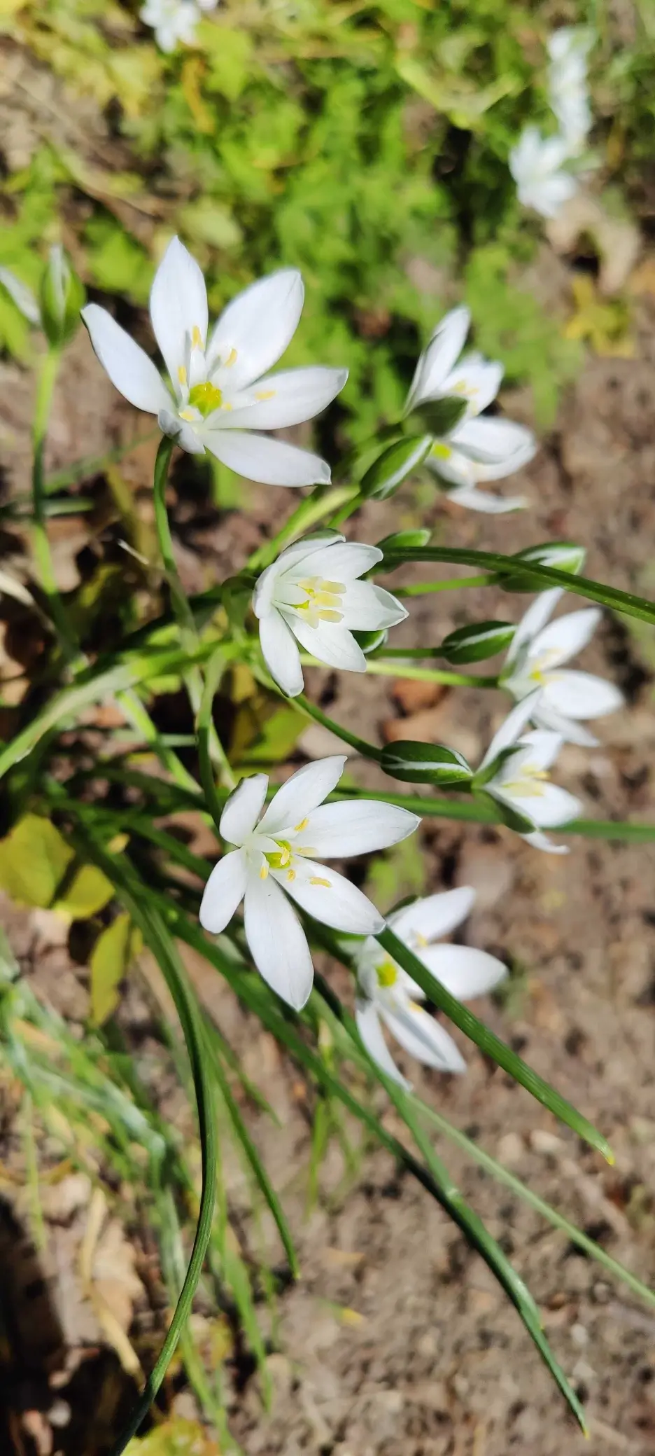 Fibery retreat in Rzucewo, Poland / 2025