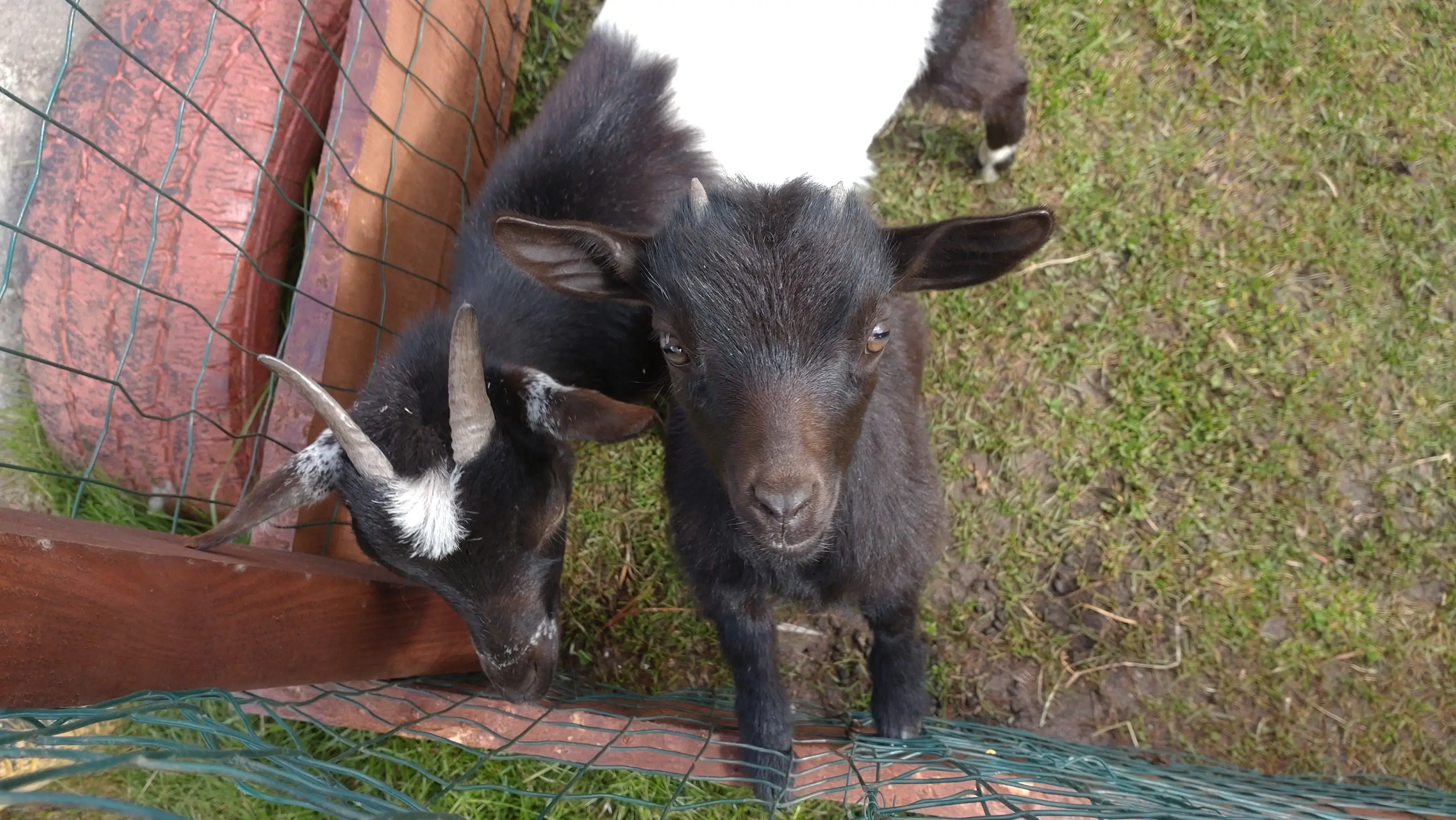 Fibery retreat in Rzucewo, Poland / 2025