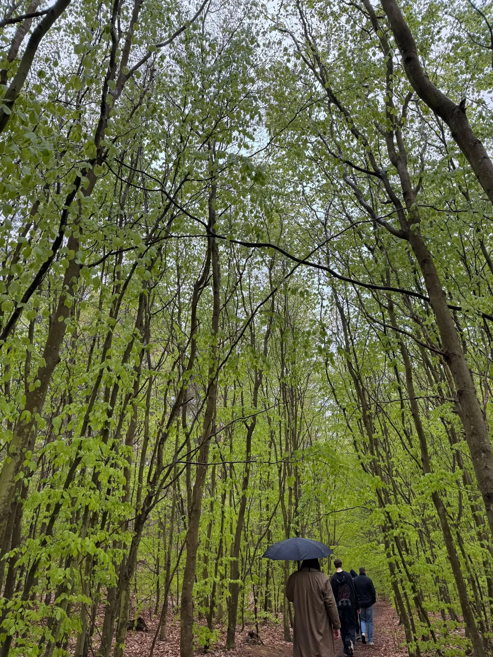 Fibery retreat in Rzucewo, Poland / 2025