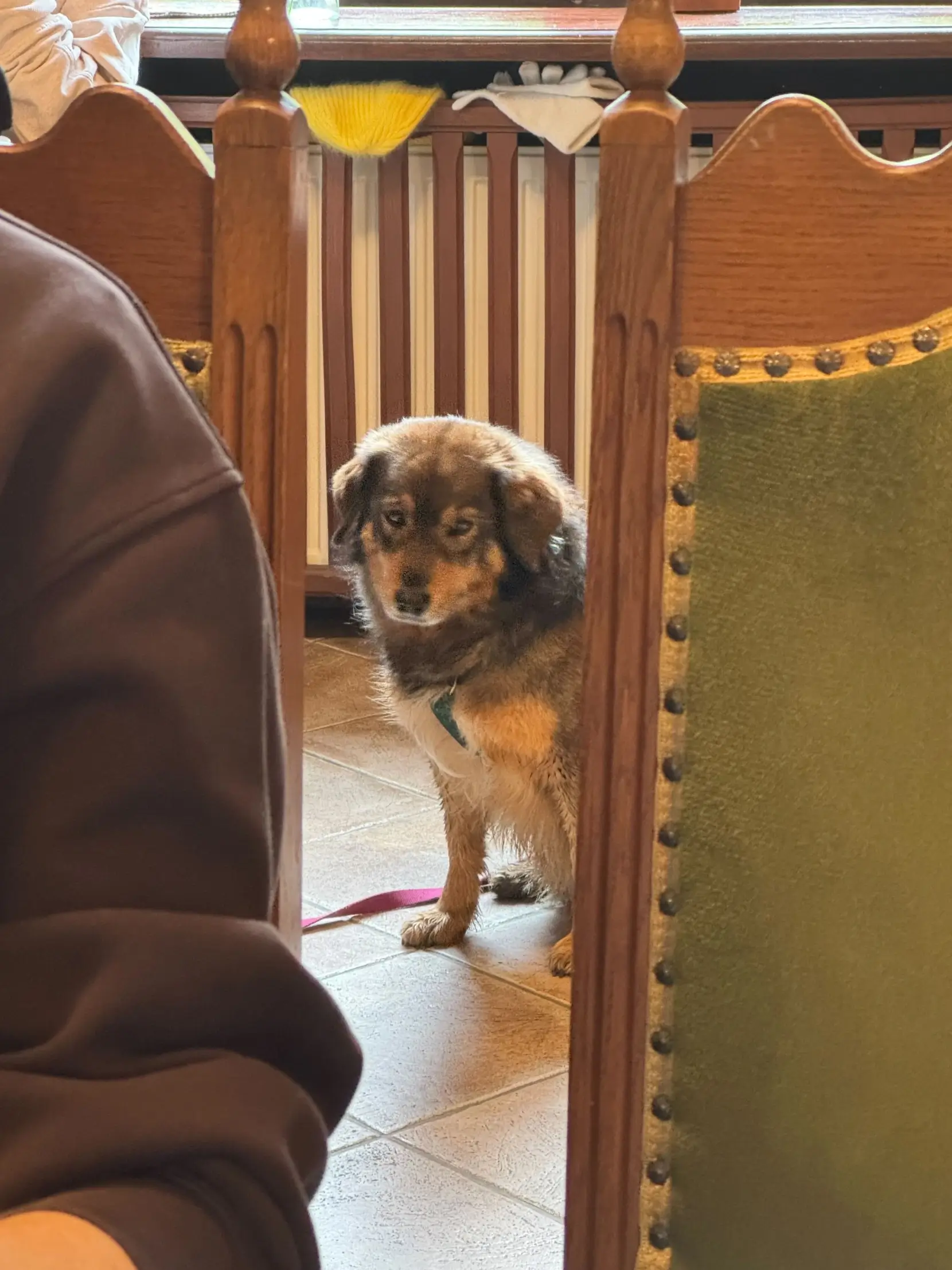 Fibery retreat in Rzucewo, Poland / 2025