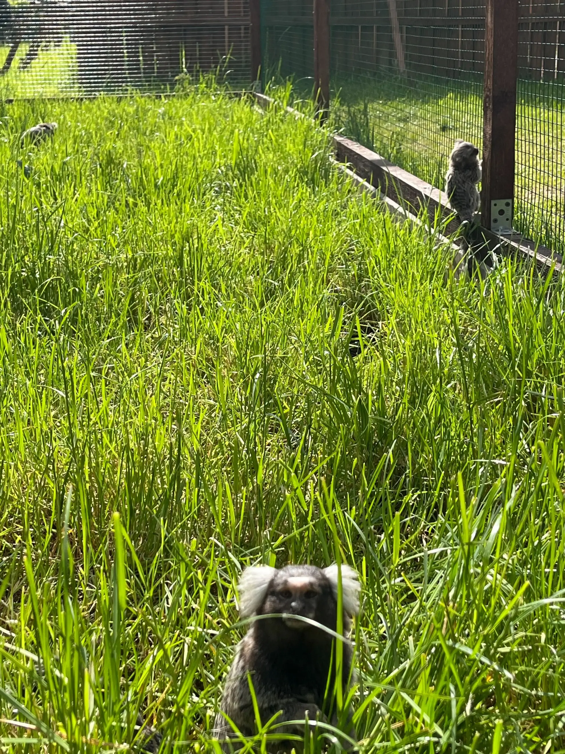 Fibery retreat in Rzucewo, Poland / 2025