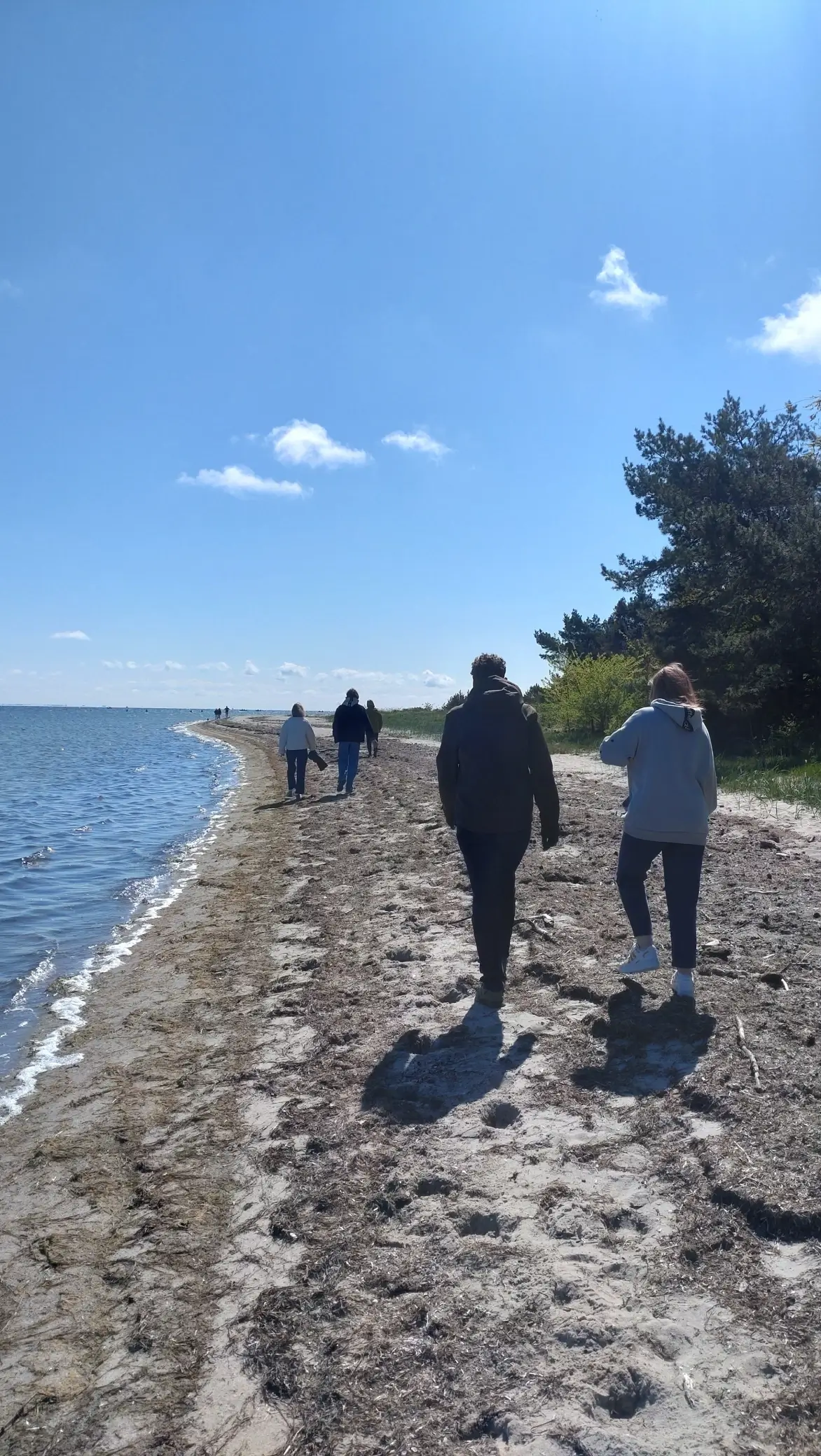 Fibery retreat in Rzucewo, Poland / 2025