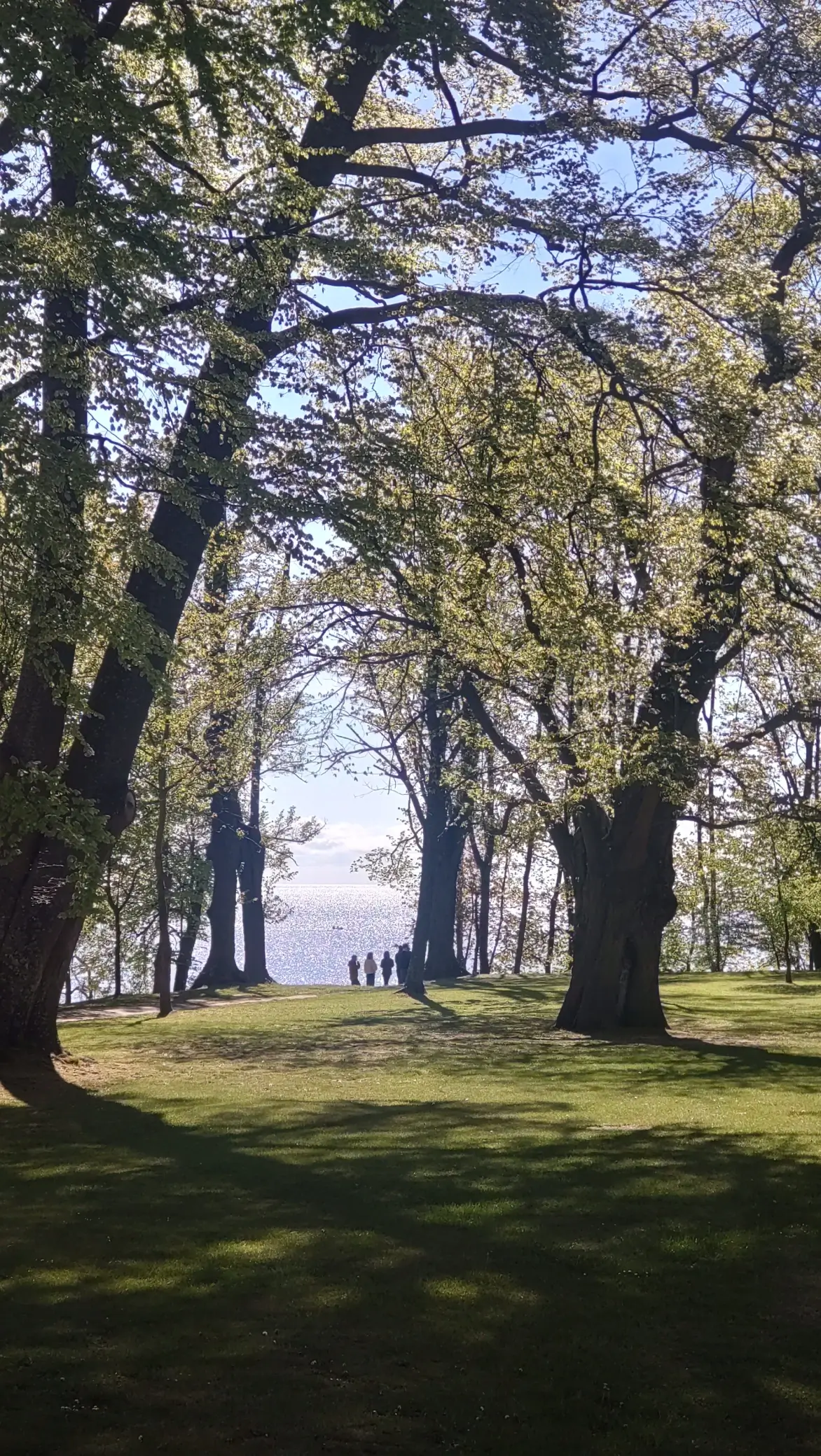 Fibery retreat in Rzucewo, Poland / 2025