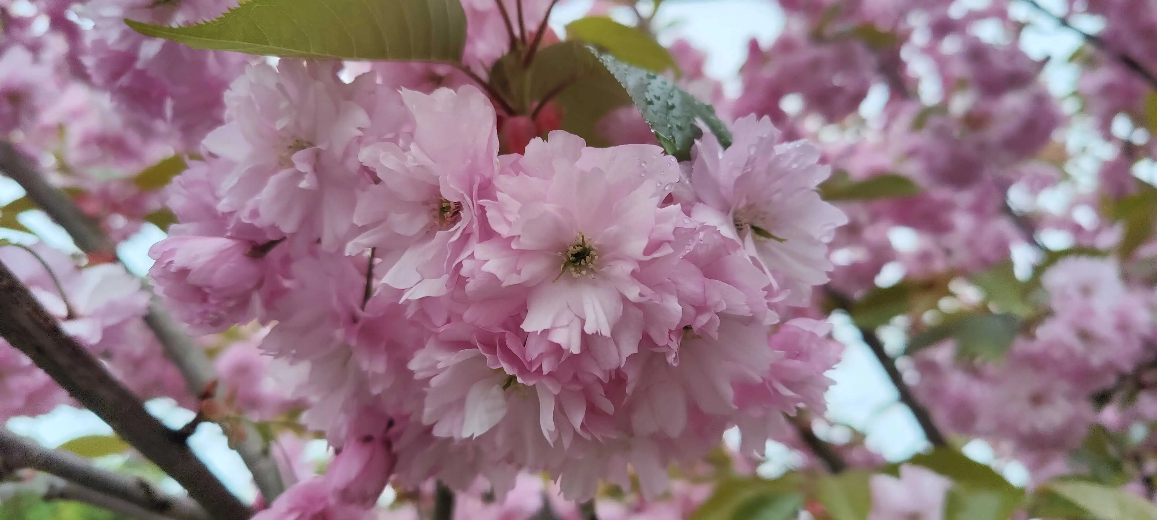 Fibery retreat in Rzucewo, Poland / 2025