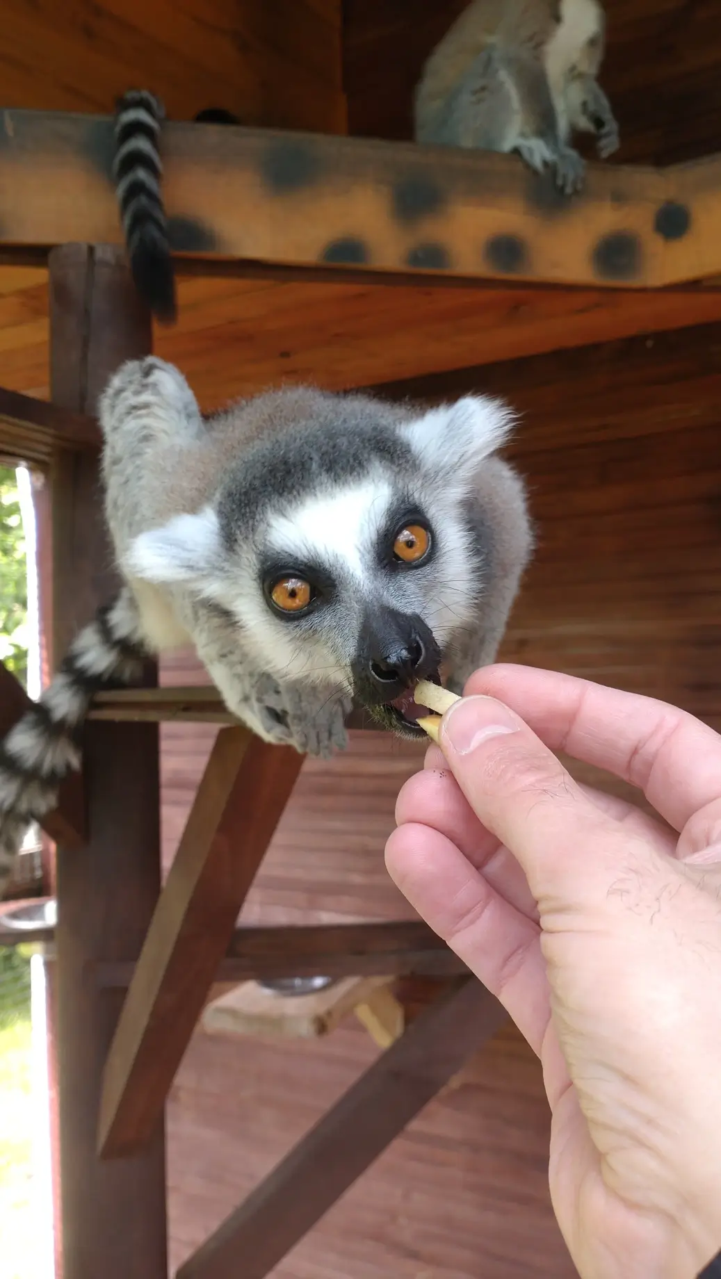 Fibery retreat in Rzucewo, Poland / 2025